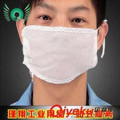 劳保用品 厂家直销无尘室网布口罩系带式防静电防唾沫口臭细菌传播工业劳保图片|劳保用品 厂家直销无尘室网布口罩系带式防静电防唾沫口臭细菌传播工业劳保产品图片由佛山瑾翔科技公司生产提供-